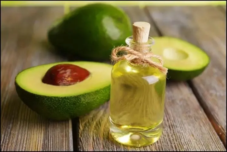 avocado oil extraction